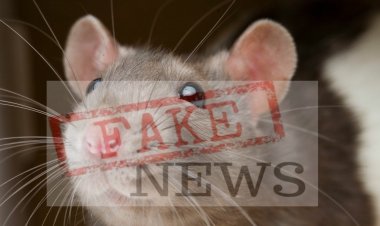 تمخض الجبل فولد فأرا وثانوية عبد الرحمان ابن زيدان بمكناس منه براء