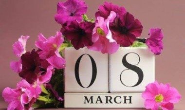 مدير أكاديمية جهة فاس مكناس الدكتور محسن الزواق يهنئ نساء التعليم بعيدهن الأممي