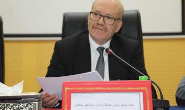 جامعة مولاي إسماعيل وحماية المعطيات الرقمية ذات الطابع الشخصي