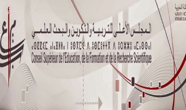 محمد السادس يعين عشرين عضوا وخبيرا من المخول لجلالته تعينهم أعضاء في المجلس الأعلى للتربية والتكوين والبحث العلمي