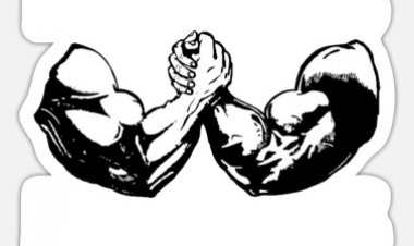 التعليم في المغرب إلى أين؟  التنسيقية الموحدة لهيئة التدريس وأطر الدعم بالمغرب تختار المواجهة وتواصل التصعيد