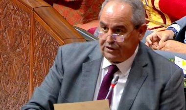 بقيادة ميداوي : استجابة 93 % لطلبات المنح الجامعية ودفع قوي نحو تعليم عالي أفضل