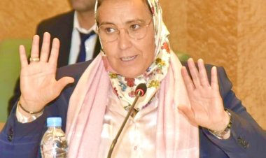 خديجة الزومي تسائل وزير التربية الوطنية حول آليات دعم ومواكبة التلميذات ضحايا التغرير والاستغلال الجنسي بجماعة كيكو